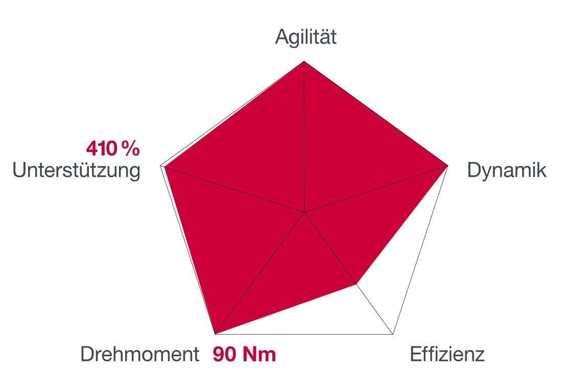 Brose Motor 250 Watt Drive-S Mag Ab 2019 Vertikal (neu) 6 Brose Motor 250 Watt Drive-S Mag Ab 2019 Vertikal (neu) – Bild 4