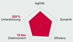 Brose Motor 250 Watt Drive-T Mag Ab 2020 (neu) 10 Brose Motor 250 Watt Drive-T Mag Ab 2020 (neu) -Fahrradzubehör Brose Motor Drive T MAG 2020c