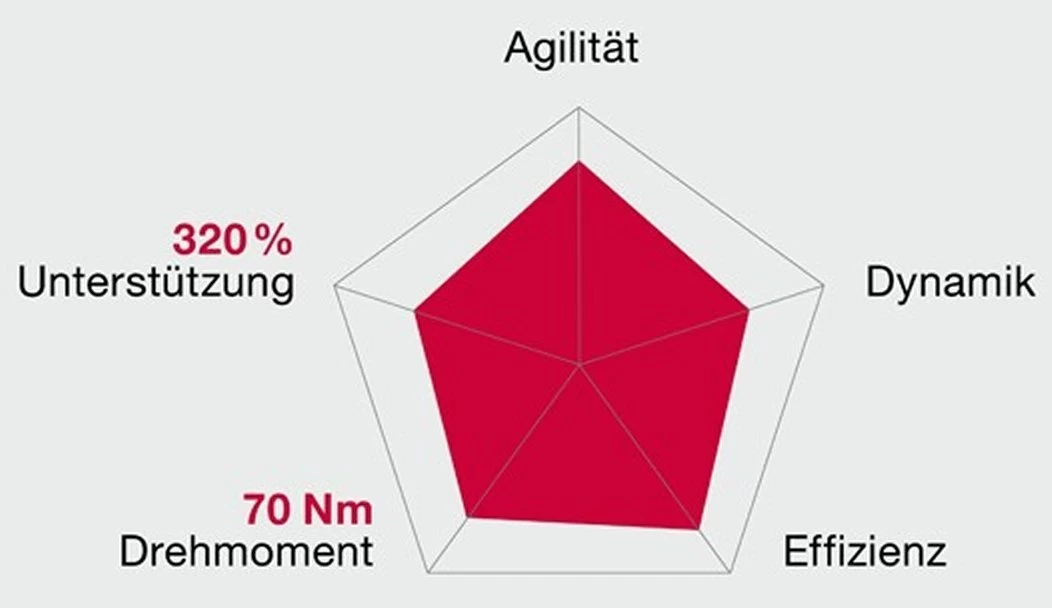 Brose Motor 250 Watt Drive-T Mag Ab 2020 (neu) 6 Brose Motor 250 Watt Drive-T Mag Ab 2020 (neu) – Bild 4